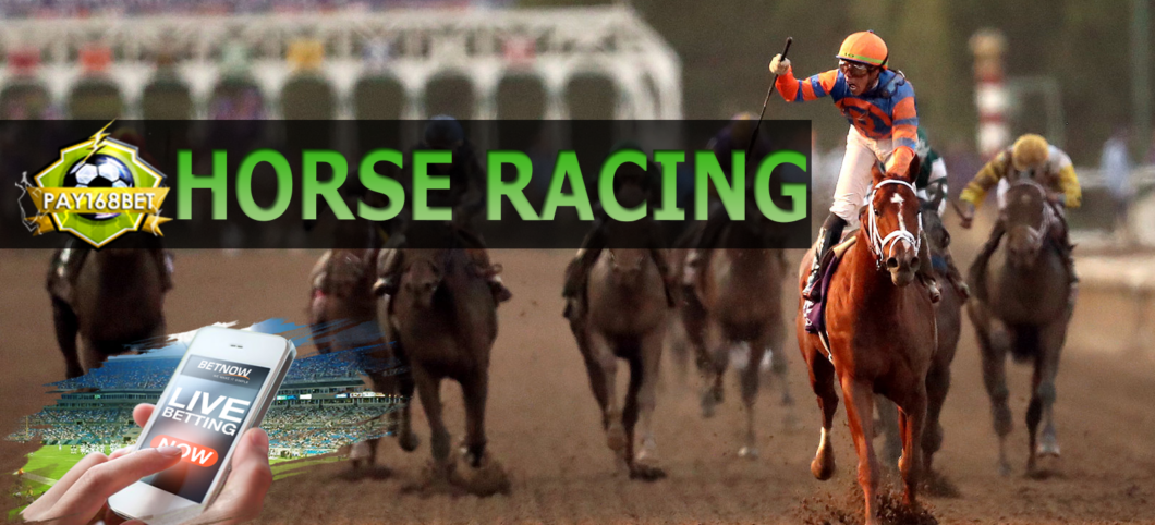 Sg Horse Racing Live